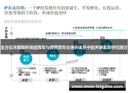 全方位深度解析埃因青年与阿贾青年在培养体系中的关键差异研究探讨 全方位深度解析埃因青年与阿贾青年在培养体系中的关键差异研究探讨