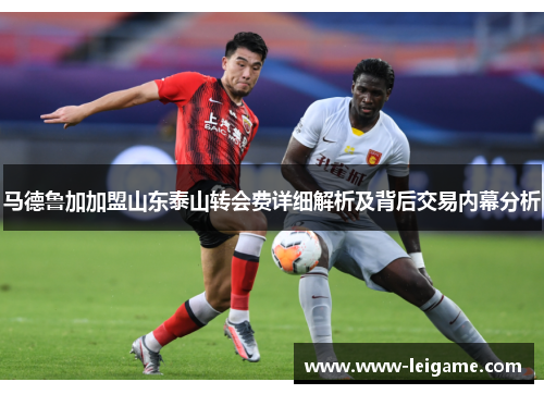 马德鲁加加盟山东泰山转会费详细解析及背后交易内幕分析